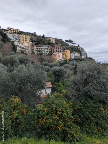 Houses on a cliff in Sorrento, Italy