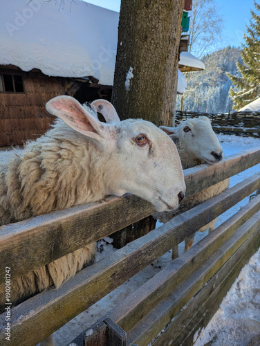 Hutsul Land Bukovel