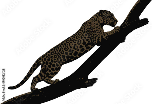 Leopard climbing a tree branch isolated on transparent background