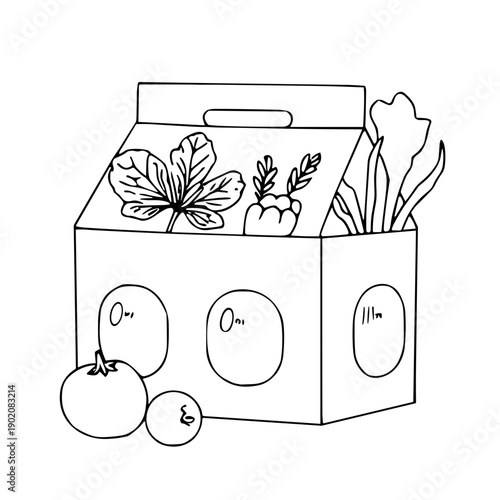 Hand drawn line art illustration of a cardboard delivery box filled with fresh organic vegetables and fruits. Grocery delivery and healthy eating concept vector isolated on white background.