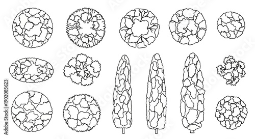 Collection of Top-Down and Elevation Views of Various Tree Types for Architectural and Landscape Design.