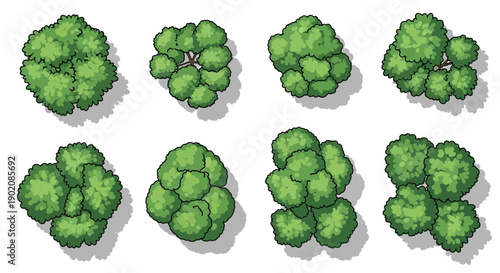 A collection of eight distinct, top-down illustrations of lush green trees, each with a unique shape and texture, casting subtle shadows.