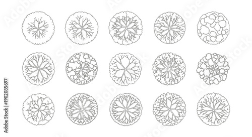 Collection of stylized top-down tree illustrations, showcasing diverse branch structures and canopy shapes for architectural or landscape design.