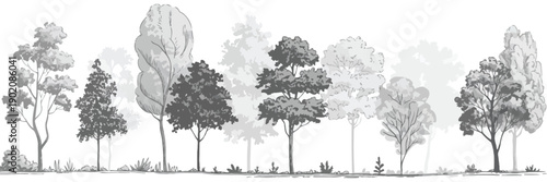 Architectural Drawings of Wetland Forest Sections, Minimal CAD Tree Line Illustration, Side View Landscape Design Section Outline, Vector Line Art Elements for Urban and Ecological Planning