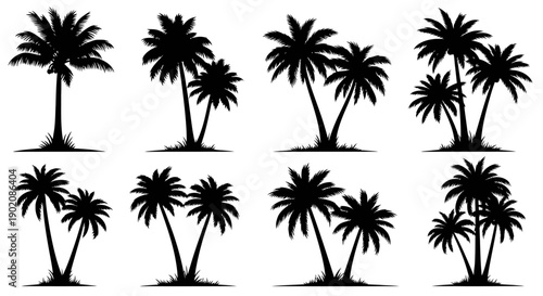 Collection of black silhouettes of various palm trees, ideal for tropical design elements and vacation themes.
