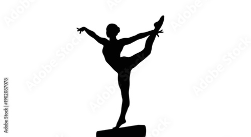 Elegant ballerina in dynamic pose on box