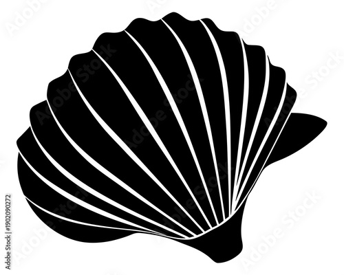 Seashells silhouette vector illustration isolated on white background