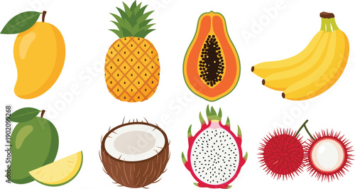 Collection of tropical exotic fruits including mango pineapple papaya banana coconut dragon fruit and rambutan isolated on white background for design