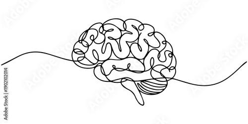 Human brain creativity vs logic chaos and order a continuous line drawing concept, organised vs disorganised left and right brain hemispheres as a chaos theory metaphor, one line vector illustration