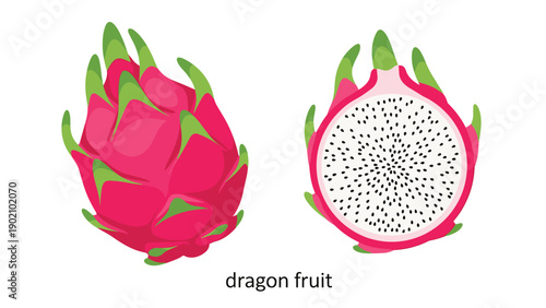 Detailed illustration of two dragon fruits with one shown as whole and the other cut in half to reveal white speckled flesh.