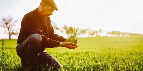 Photos Close-up of a farmer holding young seedlings
