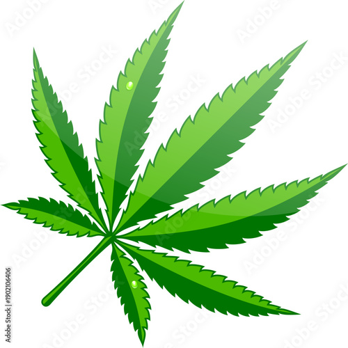 Cannabis Hemp Leaf Flat Icon