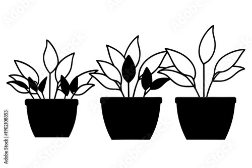 Decorative Plant Pots Silhouette Vector Illustration, Gardening Icon