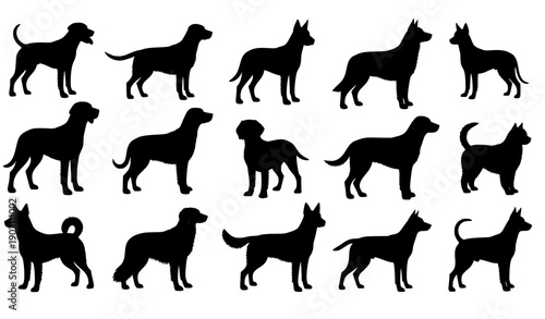 :
Standing dog silhouette vector set with realistic breed proportions isolated on white