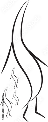 Abstract Flame Line Art Minimal Vector Illustration