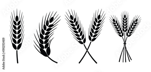 Black and White Wheat Sheaves Vector Depicting Harvested Grain, Agricultural Farming