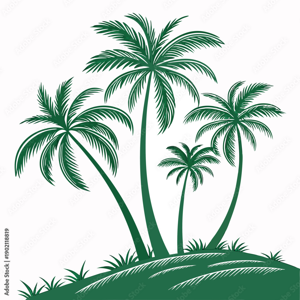 Obraz premium Tropical palm trees with white background 