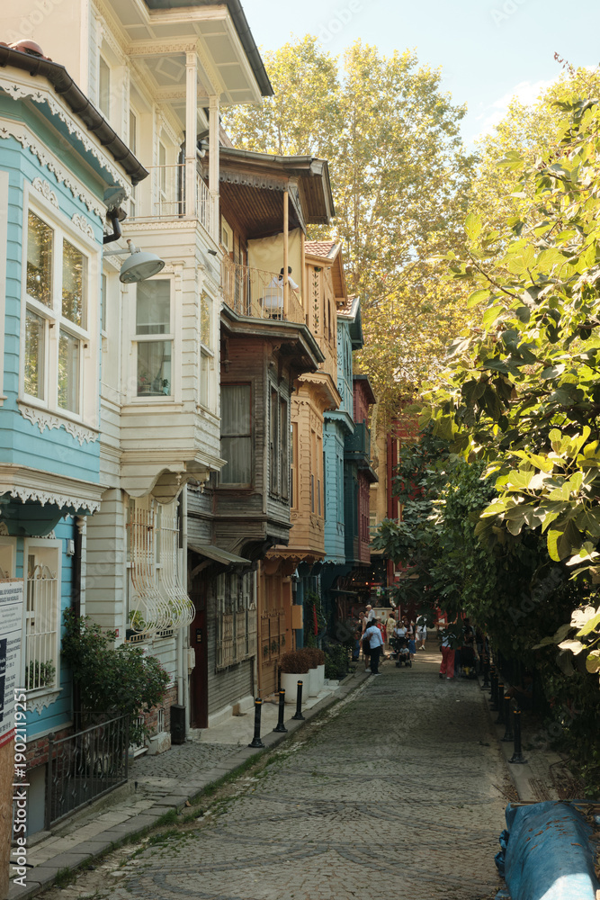 Fototapeta premium Narrow street lined with traditional wooden houses and greenery in historic neighborhood