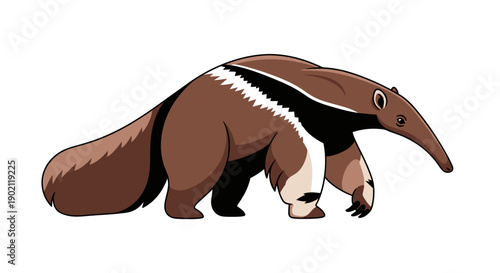 A cartoon illustration of a giant anteater with its distinctive long snout and bushy tail, standing on a white background.