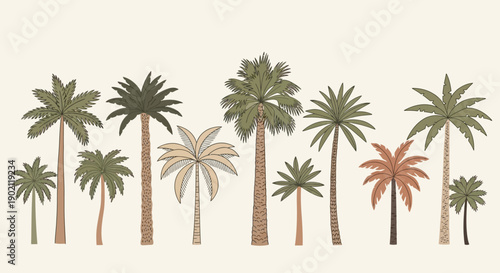 A collection of various palm trees with different shapes and colors, set against a neutral background.