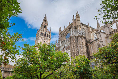The Giralda Tower and Seville Cathedral framed by orange trees in the Patio de los Naranjos, Seville, Spain
