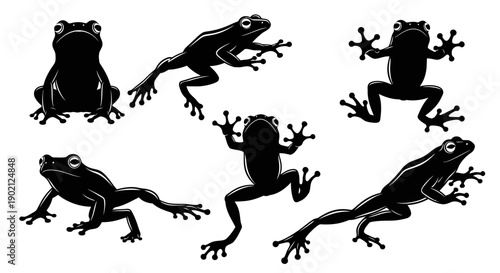 Collection of Silhouettes of Frogs in Various Poses, Showcasing Their Unique Anatomy and Agility.