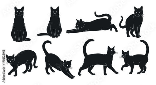 A collection of black cat illustrations in various poses, showcasing their sleek forms and elegant movements.