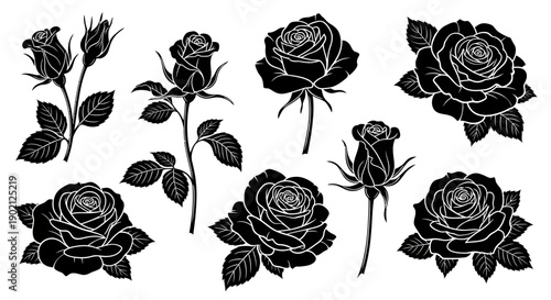 A collection of detailed black and white silhouette illustrations of various roses and rose buds on a white background.