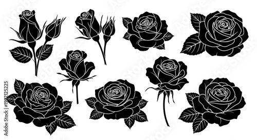 Collection of black and white silhouette illustrations of various roses and rose buds with leaves.