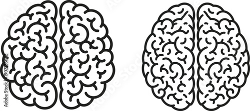 Two detailed line drawings of the human brain viewed from above, isolated on a white background