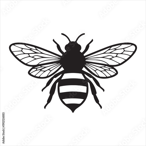 Honey bee with detailed wings and striped body, insect, nature, bee, flying, honey bee