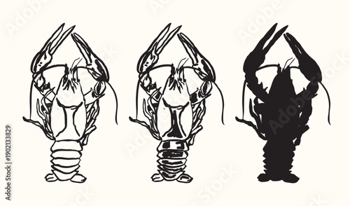 Vintage Crawfish Illustration Set