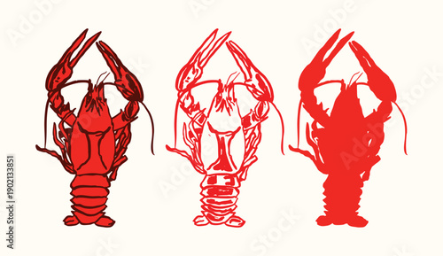 Boiled Fresh Crawfish Collectio