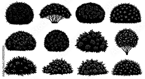 A collection of twelve black and white illustrations of various ornamental shrubs and bushes, presented in a grid format.