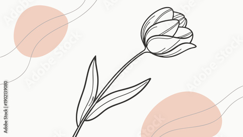 Minimalist Tulip Line Art Illustration with Abstract Boho Shapes
