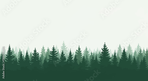 A dense, dark green forest of pine trees stretches across the horizon under a pale, hazy sky.
