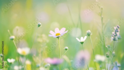 Wallpaper Mural Wildflower meadow with subtle browser movement Torontodigital.ca