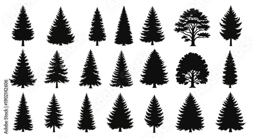 Collection of diverse tree silhouettes including various coniferous and deciduous species.