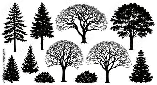 Collection of diverse tree silhouettes, including evergreen conifers and bare deciduous trees, alongside small bushes.