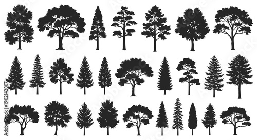 A comprehensive collection of diverse tree silhouettes, showcasing various species and shapes, ideal for graphic design elements.