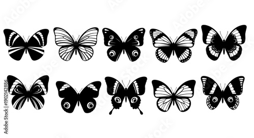 A collection of ten black and white illustrations of various butterfly species, showcasing intricate wing patterns and designs.