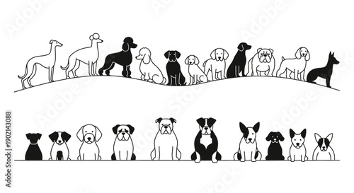 A charming black and white illustration featuring two rows of diverse dog breeds, showcasing a variety of shapes and sizes.