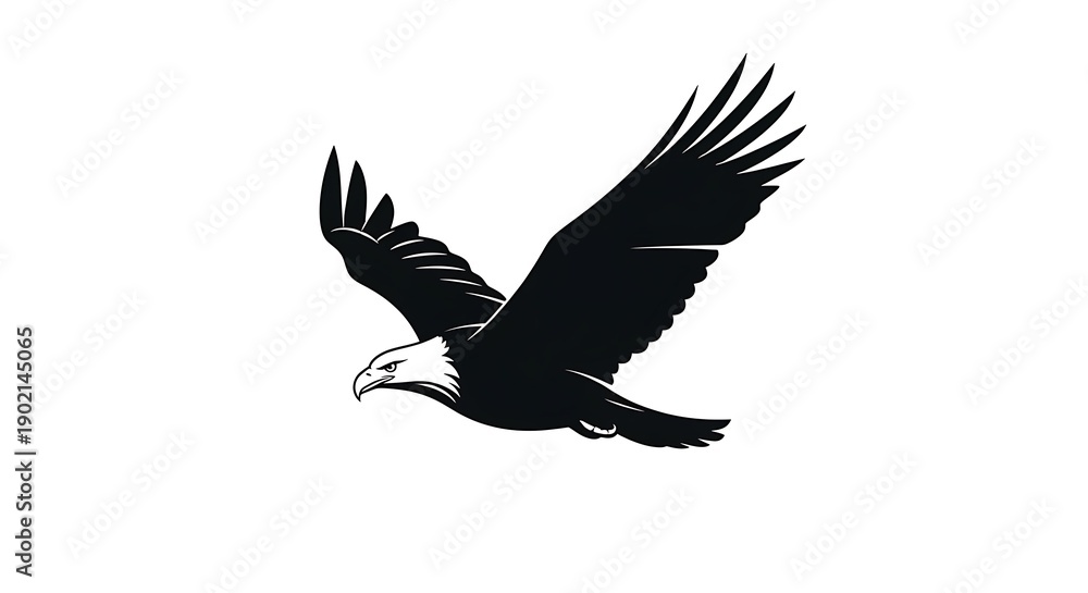 Obraz premium Black and white illustration of an eagle soaring in flight with wings outstretched
