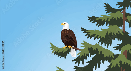 Majestic bald eagle perched on a pine tree branch against a clear blue sky