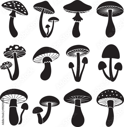 black and white illustration of various mushroom silhouettes