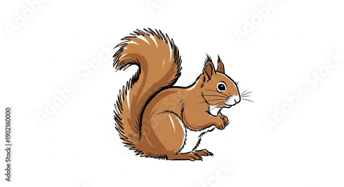 Cute cartoon red squirrel illustration on white background.