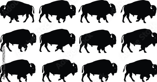 Set of twelve black bison silhouettes performing various walking and standing poses for wildlife animal and north american nature design
