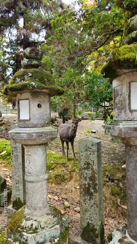 Nara