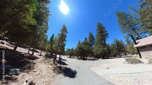 Wallpaper Mural Angeles Forest Cycling POV Front View 06 California USA Torontodigital.ca