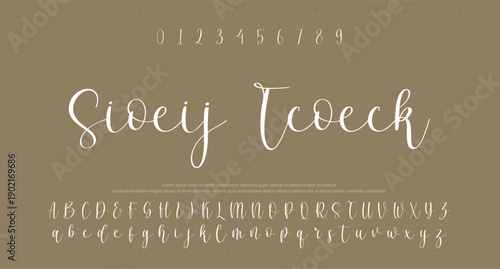 signature with beautiful and stylish font 